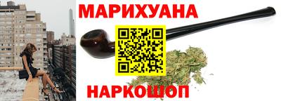 индика Можга