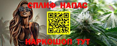 индика Можга