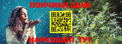 индика Можга