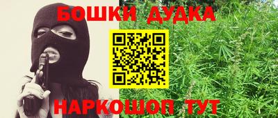 индика Можга