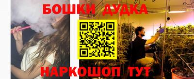индика Можга