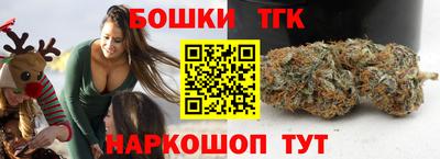 индика Можга