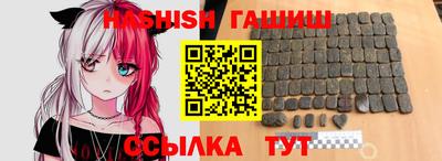 индика Можга